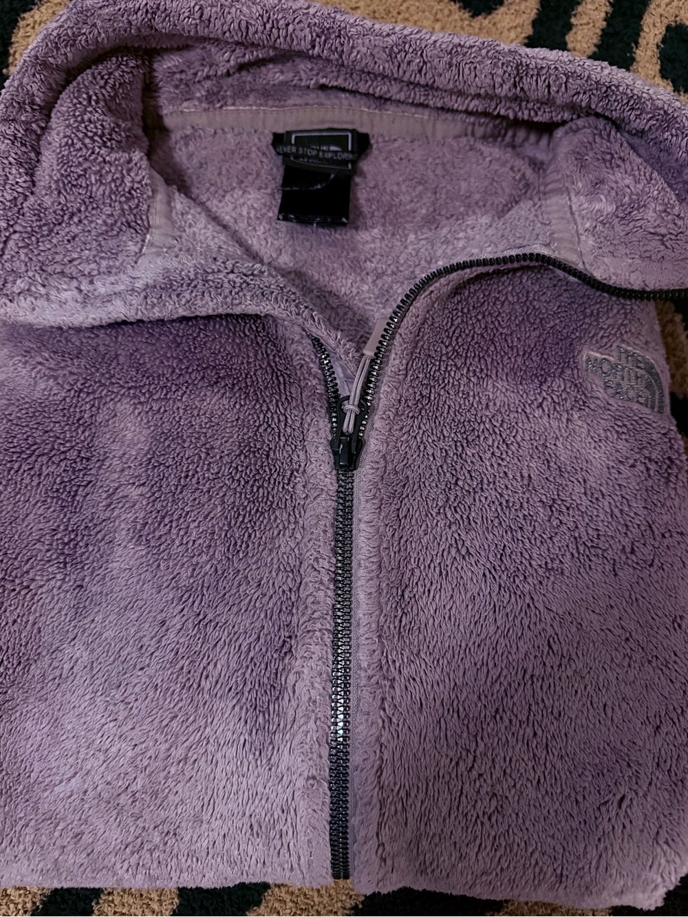 The North Face Lavender Teddy Fleece Jacket